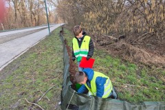 WhatsApp-Image-2026-03-11-at-09.07.21-1