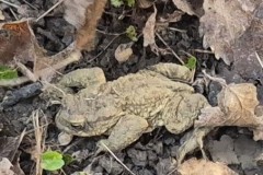 WhatsApp-Image-2026-03-11-at-09.07.21-2