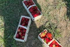 thumbnail_image7