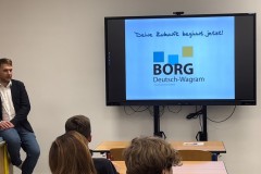 BORG-DW