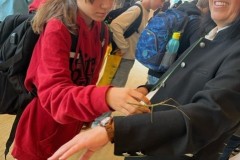 thumbnail_image7