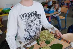 shared-image9