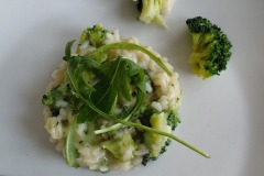 WhatsApp-Image-2026-04-14-at-13.43.24-2