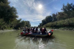 Image-1