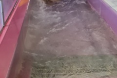 20240625_113551