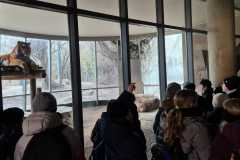 BILD1