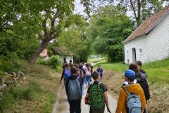 IMG_20250528_105302