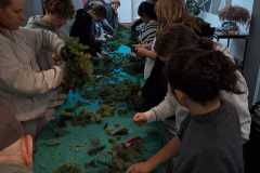 IMG-20221121-WA0003